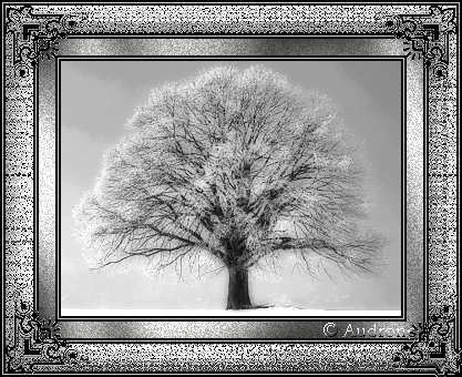 tree