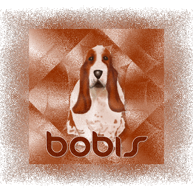bobis